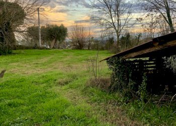 7C4F666E-0DB6-4362-84D0-82544431B381_1_201_a.jpeg - Casale Jesi - foto 2