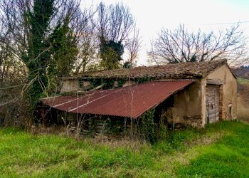 D5F812DE-24AF-43C8-B7F4-022785A1F48D_1_201_a.jpeg - Casale Jesi - foto 4