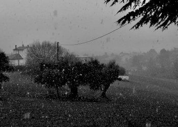 fullsizeoutput_35da.jpeg - Agricultural land Jesi - photo 1