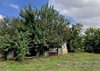 fullsizeoutput_2f71.jpeg - Casale Monsano - foto 5