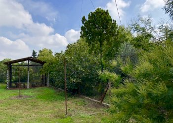 fullsizeoutput_2f75.jpeg - Casale Monsano - foto 8