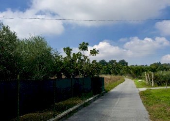 fullsizeoutput_2fa4.jpeg - Casale Monsano - foto 9