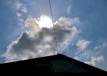 fullsizeoutput_2075.jpeg - Agricultural land Jesi - photo 1