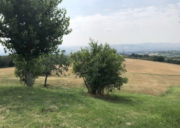 d0hVbkUfTs6+P8xR%F6L7Q.jpg - Agricultural land Jesi - photo 2