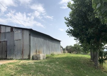 %EW3RTICQwSggewkYi8jaQ.jpg - Agricultural land Jesi - photo 4