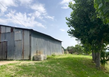 fullsizeoutput_1c95.jpeg - Agricultural land Jesi - photo 5