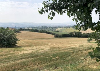 lMojw2EgTU+%5b3dP7keNA.jpg - Agricultural land Jesi - photo 6