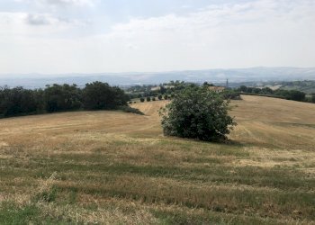 5sCruEKZRbyxel2FnoyPow.jpg - Agricultural land Jesi - photo 8