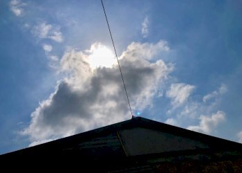 fullsizeoutput_1c91.jpeg - Agricultural land Jesi - photo 10