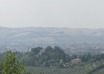 4wKpmMT9QMiv8qzPE8xdQQ.jpg - Agricultural land Jesi - photo 11