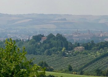 fullsizeoutput_1c92.jpeg - Agricultural land Jesi - photo 12