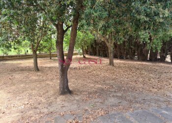 Villa Unifamiliare Grosseto - foto 19