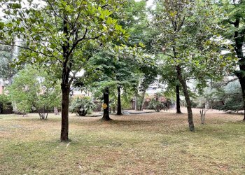 giardino - Rustico via Tuscolana, 2086, Roma - foto 40