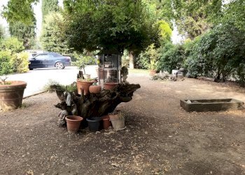 29.jpg - Casale Via Piana  18, Castiglione del Lago - foto 29