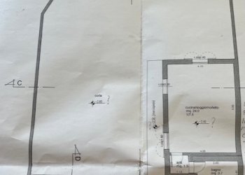 IMG_7007.jpg - Terratetto - Terracielo Cesena - foto 2