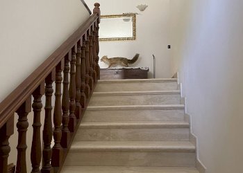 Rustico Sellano, Sellano - foto 10