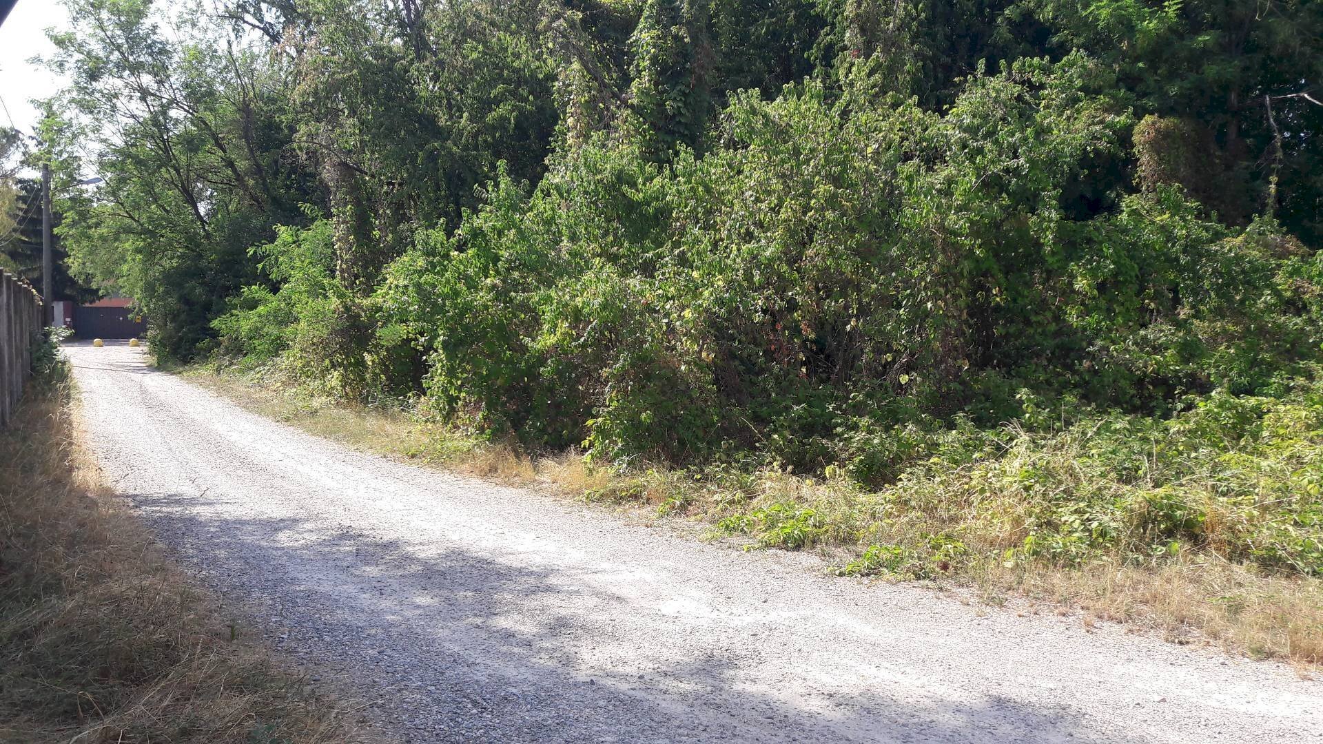 Terreno edificabile REDIPUGLIA, Samarate - foto 3