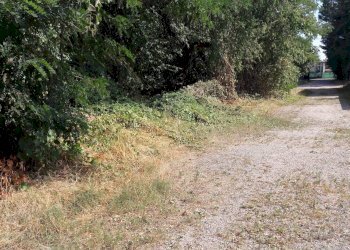 Terreno edificabile REDIPUGLIA, Samarate - foto 1