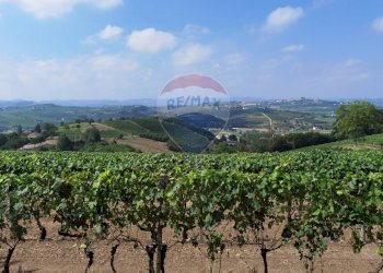 Casale strada provinciale 40 
 Nizza Monferrato, AT, Nizza Monferrato - photo 1