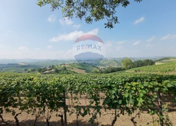 Casale strada provinciale 40 
 Nizza Monferrato, AT, Nizza Monferrato - photo 4