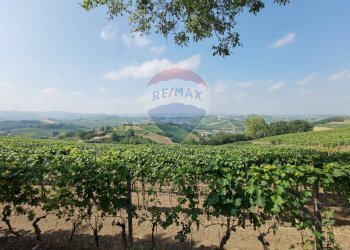 Casale strada provinciale 40 
 Nizza Monferrato, AT, Nizza Monferrato - photo 5