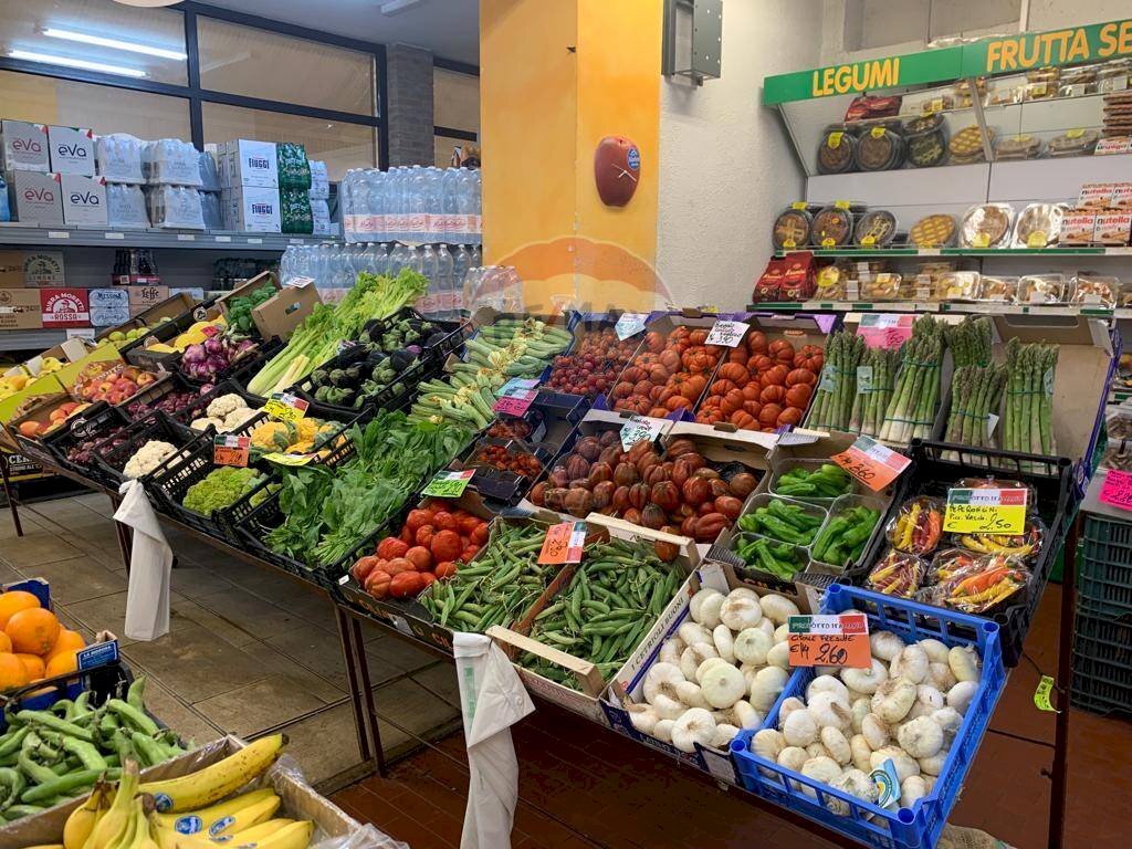 Commercial Premises Gaminella, Mombello Monferrato, Mombello Monferrato - photo 3