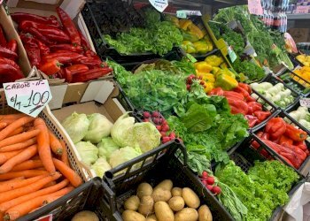 Locale Commerciale Gaminella, Mombello Monferrato, Mombello Monferrato - foto 2