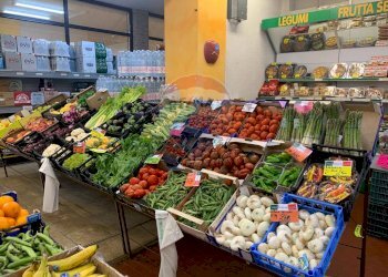 Locale Commerciale Gaminella, Mombello Monferrato, Mombello Monferrato - foto 3