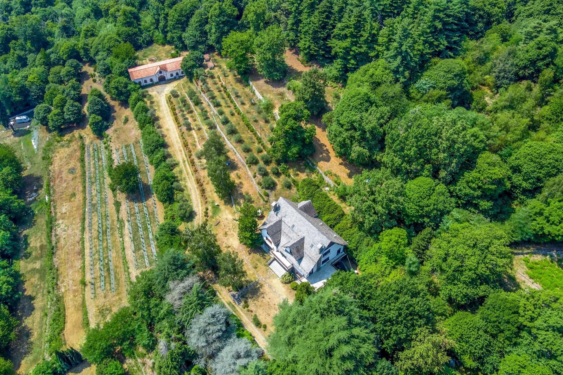 Villa Arona - foto 3