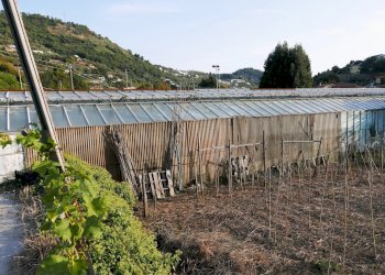 Terreno agricolo San Biagio della Cima - foto 4