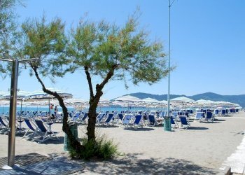 sa9.jpg - Bilocale Sarzana - foto 6