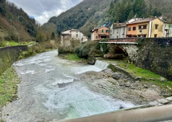 IMG_3093 2.jpg - Quadrilocale Seravezza - foto 28