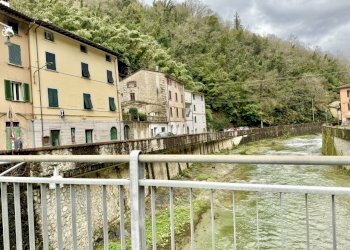 IMG_3063 2.jpg - Quadrilocale Seravezza - foto 29