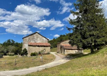 Agricultural land Castel del Rio - photo 1