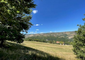 Agricultural land Castel del Rio - photo 2