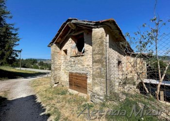 Agricultural land Castel del Rio - photo 6