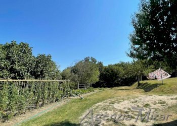 Agricultural land Castel del Rio - photo 9