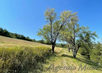 Agricultural land Castel del Rio - photo 25