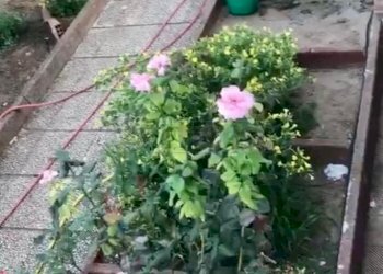 WhatsApp Image 2023-06-29 at 11.29.44 (3).jpeg - Villa a Schiera CONTRADA NISCIMA, Caltanissetta - foto 8