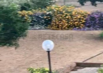 WhatsApp Image 2023-06-29 at 11.29.44 (4).jpeg - Villa a Schiera CONTRADA NISCIMA, Caltanissetta - foto 9