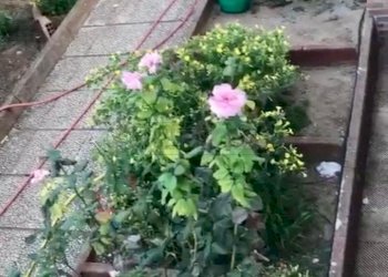 WhatsApp Image 2023-06-29 at 11.29.44.jpeg - Villa a Schiera CONTRADA NISCIMA, Caltanissetta - foto 10