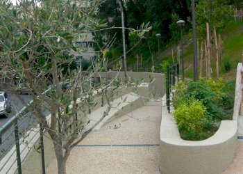 DSCN5267.JPG - Box Via Bartolomeo Chighizola 47, Genova (zona Sturla) - foto 6