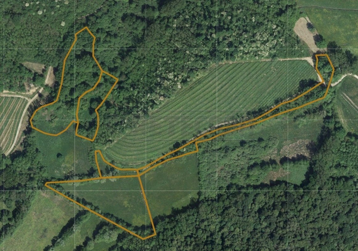 SATELLITARE3 - Terreno agricolo VIA PLANEZ SNC, Cividale del Friuli - foto 1