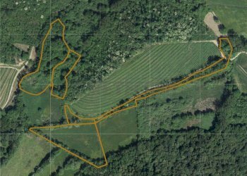 SATELLITARE3 - Terreno agricolo VIA PLANEZ SNC, Cividale del Friuli - foto 1