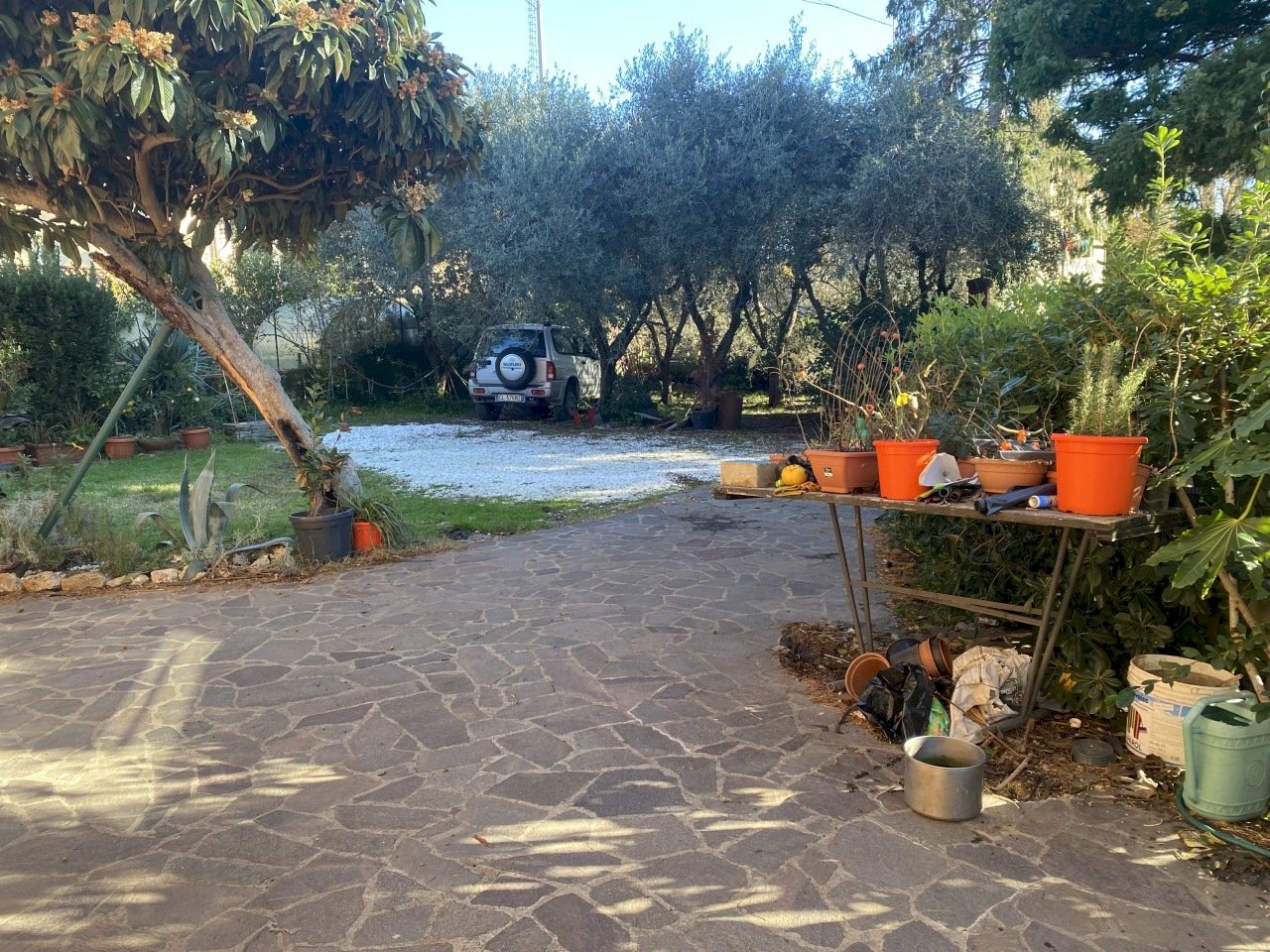 IMG_9948.JPG - Casa indipendente Sarzana - foto 3