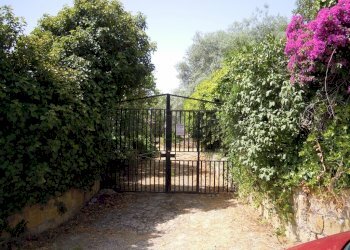 DSCN0646 (1024x768).jpg - Casa indipendente via del fanciullo 19, Caltanissetta - foto 2