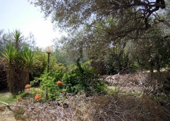 DSCN0633 (1024x768).jpg - Casa indipendente via del fanciullo 19, Caltanissetta - foto 14