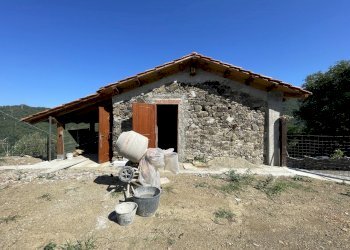 IMG_7150.jpg - Rustico Sarzana - foto 4