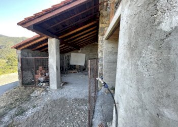 IMG_7154.jpg - Rustico Sarzana - foto 12