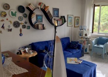 IMG_9553 (Small).JPG - Casa semi indipendente Massa - foto 5